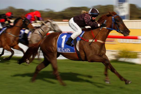 Energy requirements of a racehorse