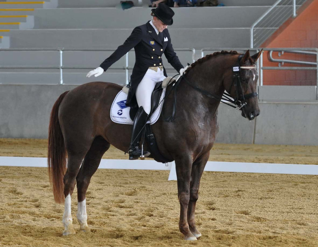 Feeding the Dressage horse Category_Articles, Choosing the right diet