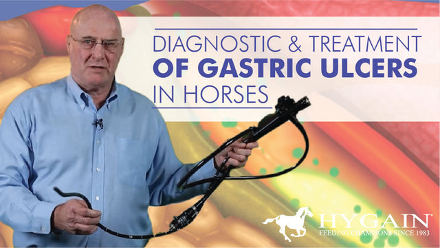 Diagnostic and Treatment of Gastric Ulcers