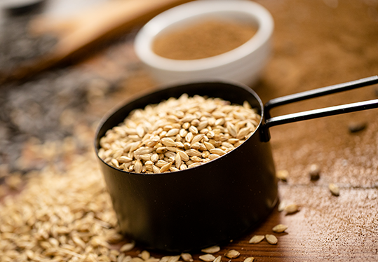 How much starch does a race horse need?