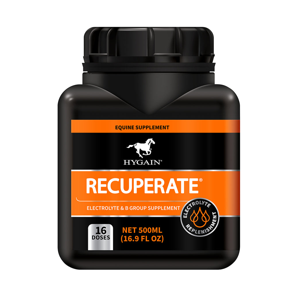 Recuperate® | Hygain Australia